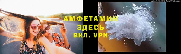 ПСИЛОЦИБИНОВЫЕ ГРИБЫ Горняк