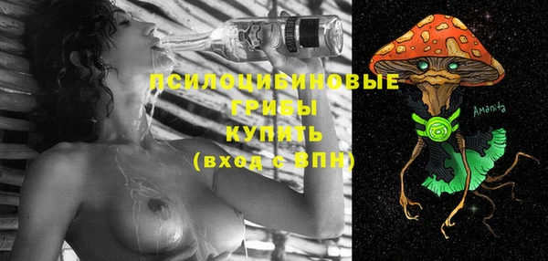 гидропоника Вяземский