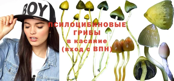 герыч Горнозаводск