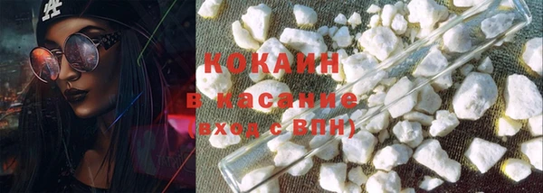 ПСИЛОЦИБИНОВЫЕ ГРИБЫ Горняк